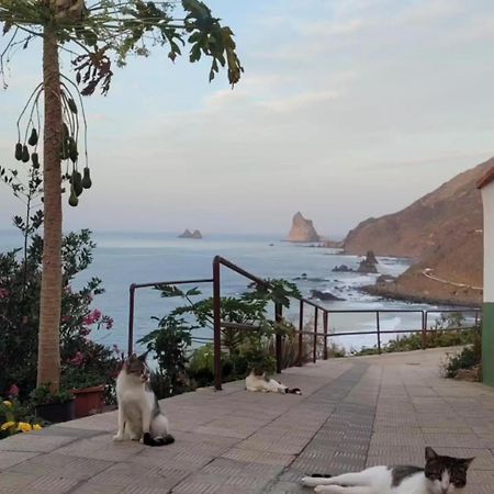Casa Manolo Paraiso Beach Trail Almaciga Екстериор снимка