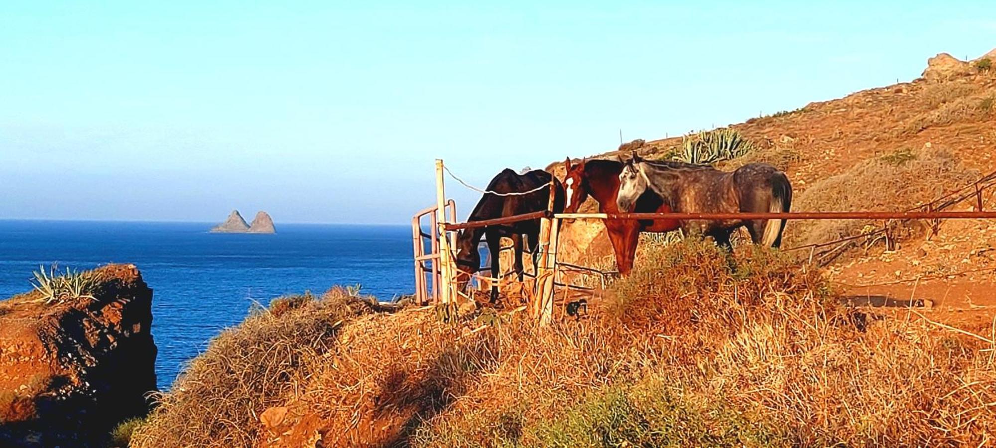 Casa Manolo Paraiso Beach Trail Almaciga Екстериор снимка