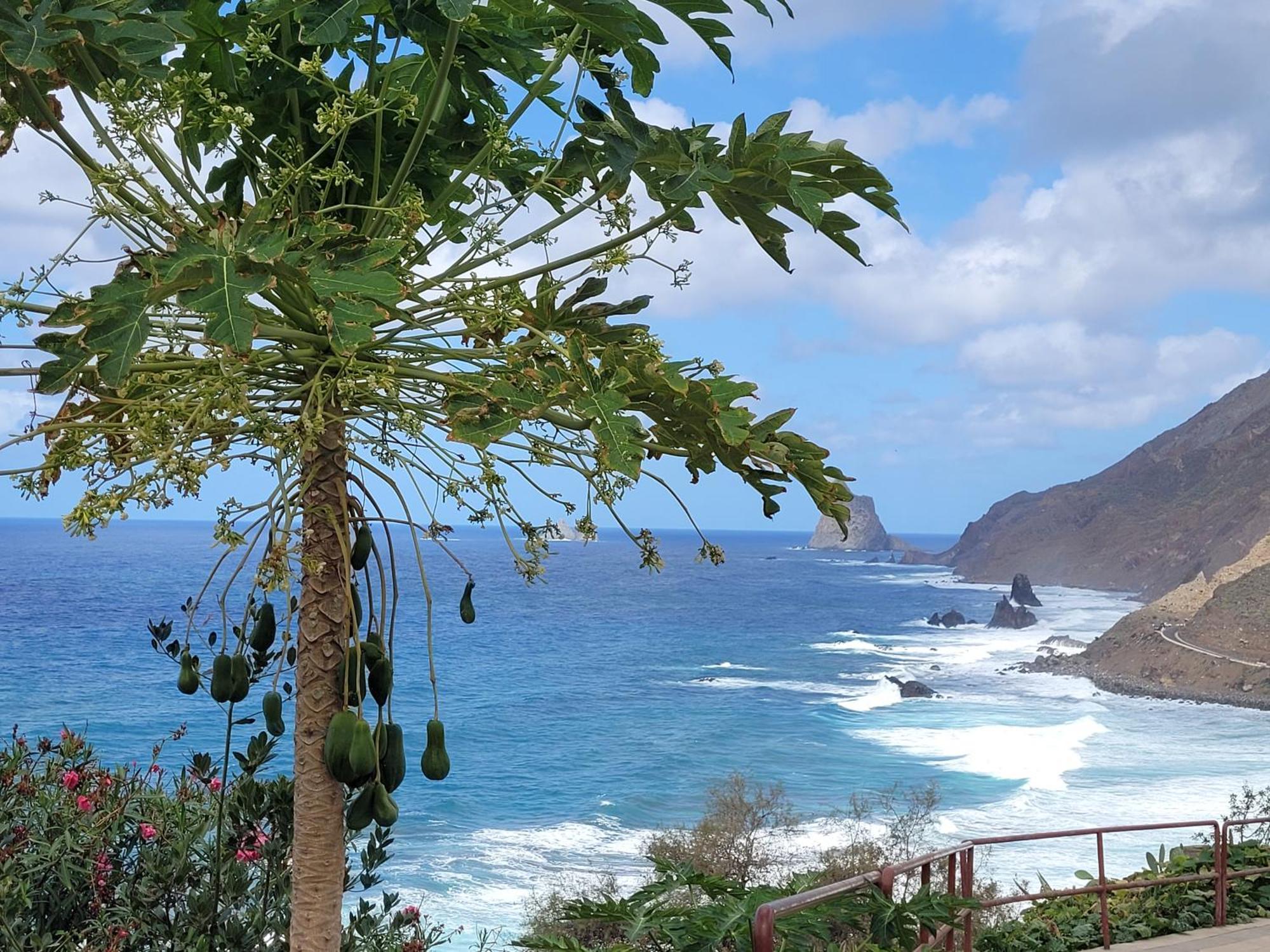 Casa Manolo Paraiso Beach Trail Almaciga Екстериор снимка